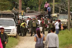 Ordenan medidas de seguridad para excombatientes que comparecerán a audiencia de reconocimiento (Presidencia)